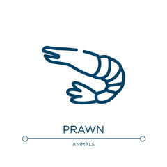 Prawn icon. Linear vector illustration from animals collection. Outline prawn icon vector. Thin line symbol for use on web and mobile apps, logo, print media.