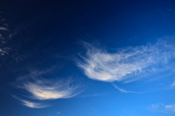 Fototapeta na wymiar veil of fine cirrus clouds blown by the winds in a blue gradient sky.