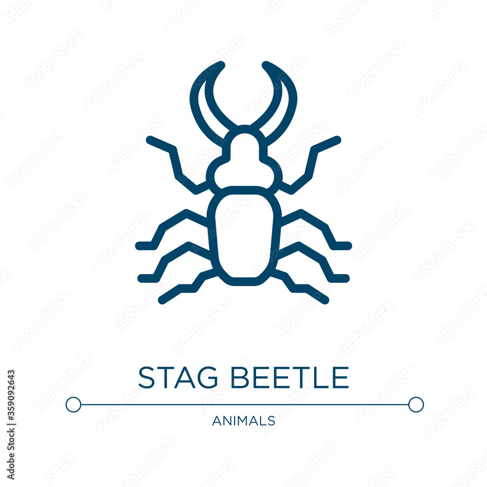 Poster stag beetle icon. linear vector illustration from insects collection. outline stag beetle icon vecto
