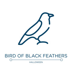 Bird of black feathers icon. Linear vector illustration from birds pack collection. Outline bird of black feathers icon vector. Thin line symbol for use on web and mobile apps, logo, print media.