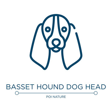Basset hound dog head icon. Linear vector illustration from woof woof collection. Outline basset hound dog head icon vector. Thin line symbol for use on web and mobile apps, logo, print media.