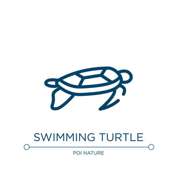 Swimming turtle icon. Linear vector illustration from free animals collection. Outline swimming turtle icon vector. Thin line symbol for use on web and mobile apps, logo, print media.