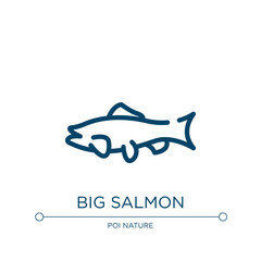 Big salmon icon. Linear vector illustration from fauna collection. Outline big salmon icon vector. Thin line symbol for use on web and mobile apps, logo, print media.