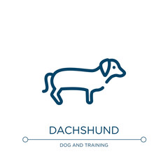 Dachshund icon. Linear vector illustration from dog breeds fullbody collection. Outline dachshund icon vector. Thin line symbol for use on web and mobile apps, logo, print media.