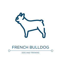 French bulldog icon. Linear vector illustration from dog breeds fullbody collection. Outline french bulldog icon vector. Thin line symbol for use on web and mobile apps, logo, print media.