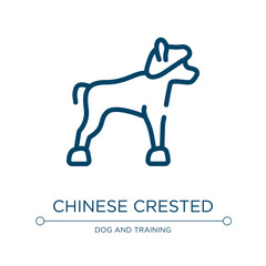 Chinese crested icon. Linear vector illustration from dog breeds fullbody collection. Outline chinese crested icon vector. Thin line symbol for use on web and mobile apps, logo, print media.