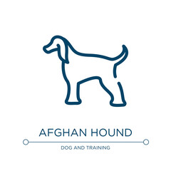 Afghan hound icon. Linear vector illustration from dog breeds fullbody collection. Outline afghan hound icon vector. Thin line symbol for use on web and mobile apps, logo, print media.