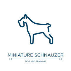 Miniature schnauzer icon. Linear vector illustration from dog breeds fullbody collection. Outline miniature schnauzer icon vector. Thin line symbol for use on web and mobile apps, logo, print media.