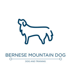 Bernese mountain dog icon. Linear vector illustration from dog breeds heads collection. Outline bernese mountain dog icon vector. Thin line symbol for use on web and mobile apps, logo, print media.