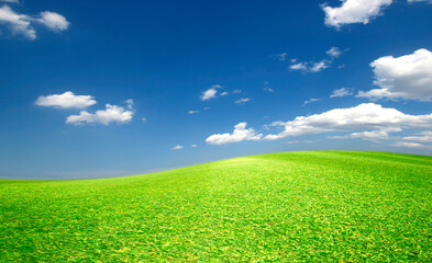 Fototapeta na wymiar Meadow and sky Field of green grass