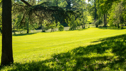
Sheltered under the trees, glimpse of the sunny spring park, its lush lawn and the edge of the tree-lined lake