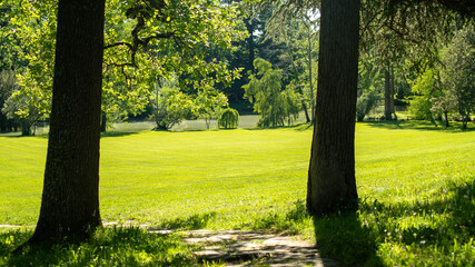 
Sheltered under the trees, glimpse of the sunny spring park, its lush lawn and the edge of the tree-lined lake