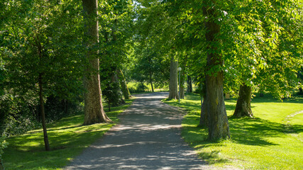 Fototapeta na wymiar Shaded path, between green trees, in spring