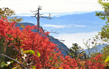 北アルプス燕岳