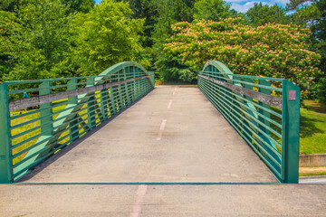 Nature along a 65 mile paved walking and hiking trail in north Georgia Silver Comet Trail © billtster