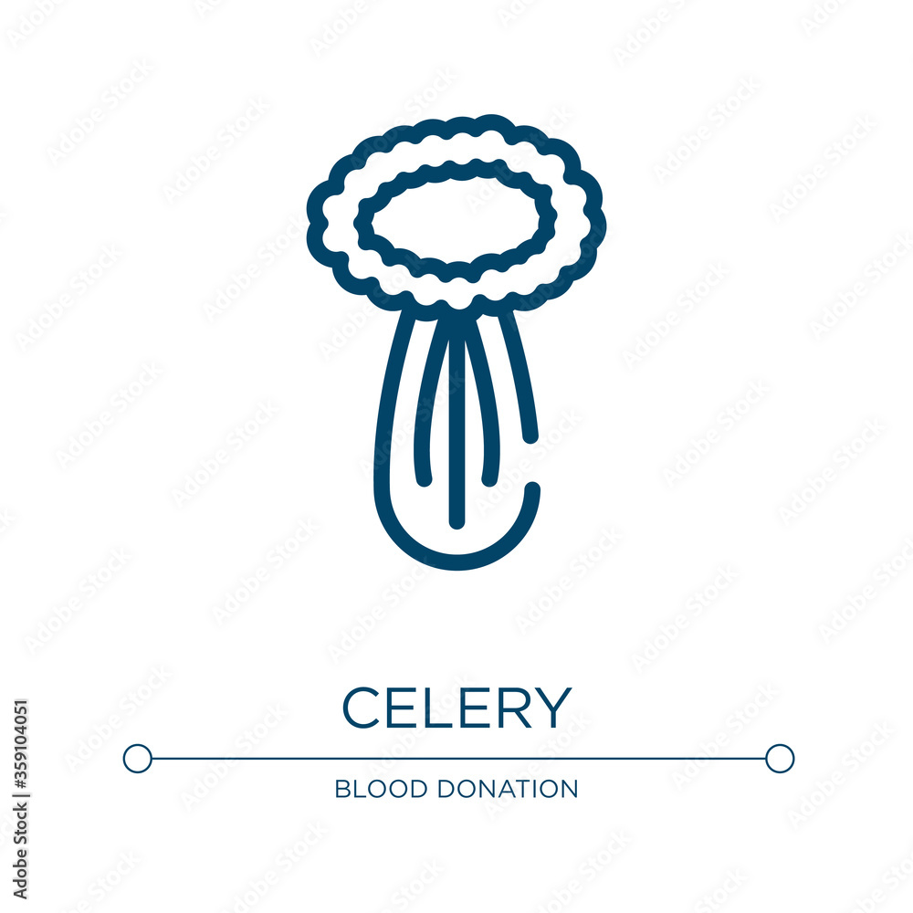 Poster celery icon. linear vector illustration from allergies collection. outline celery icon vector. thin 