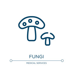 Fungi icon. Linear vector illustration from alternative medicine collection. Outline fungi icon vector. Thin line symbol for use on web and mobile apps, logo, print media.
