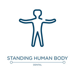 Standing human body silhouette icon. Linear vector illustration from body parts collection. Outline standing human body silhouette icon vector. Thin line symbol for use on web and mobile apps, logo,