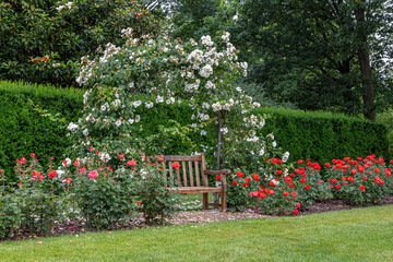Bench in Rose Arbor
