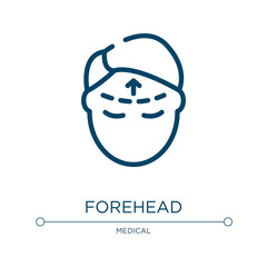 Forehead icon. Linear vector illustration from plastic surgery collection. Outline forehead icon vector. Thin line symbol for use on web and mobile apps, logo, print media.