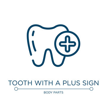 Tooth with a plus sign icon. Linear vector illustration from medicine and health collection. Outline tooth with a plus sign icon vector. Thin line symbol for use on web and mobile apps, logo, print