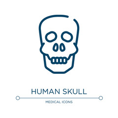 Human skull icon. Linear vector illustration from in the hospital collection. Outline human skull icon vector. Thin line symbol for use on web and mobile apps, logo, print media.