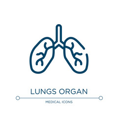 Lungs organ icon. Linear vector illustration from in the hospital collection. Outline lungs organ icon vector. Thin line symbol for use on web and mobile apps, logo, print media.