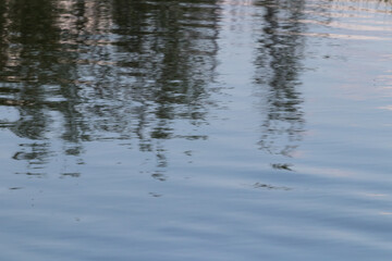Fototapeta na wymiar Blurred reflection of dark trees on the water surface