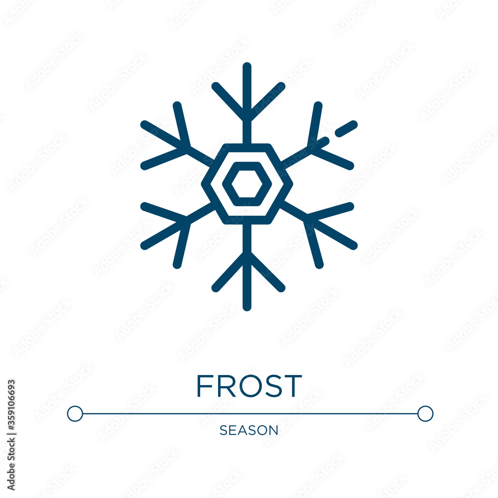 Poster frost icon. linear vector illustration from season collection. outline frost icon vector. thin line 