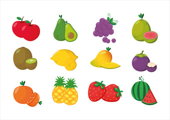 Fruit Set Design. illustration of fruit vector. (apple, avocado, grape, guava, kiwi, mango, watermelon, strawberry, pineapple, orange, mangosteen, lemon)