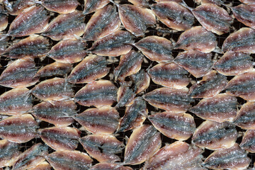 Fish preserved with salt. Salted fish dried on street in fishing village. Traditional salted fish drying on the sun, Vietnam
