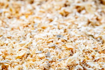 Close up view to light brown wooden shavings. Natural background. Different sawdust