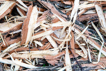 Colorful wood shavings background. Top view.  Different big sawdust