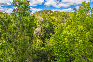 Fototapeta premium Nature along a 65 mile paved walking and hiking trail in north Georgia