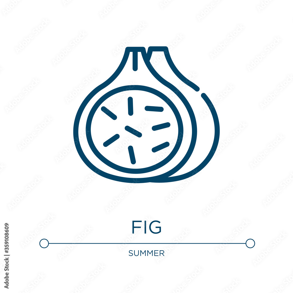 Aufkleber fig icon. linear vector illustration from summer collection. outline fig icon vector. thin line symb