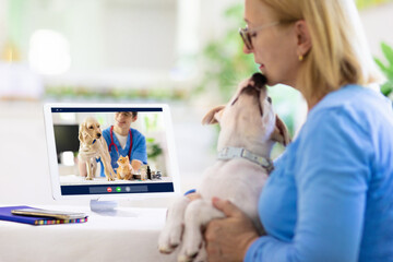 Online consultation with veterinarian doctor.