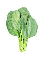 Chinese kale isolated on white background ,Green leaves of collards pattern