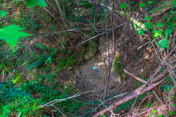 Nature along a 65 mile hiking and bike riding trail in north Georgia 