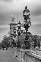 Fototapeta premium Moody cityscape with Pont Alexandre III bridge and Seine river in Paris, France in black and white