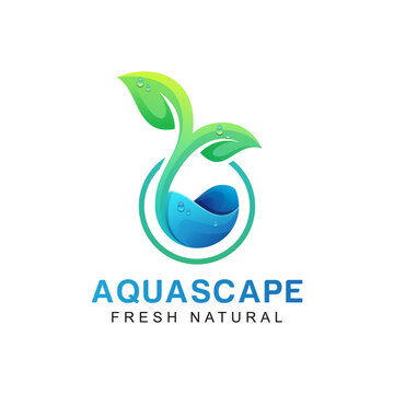 2 565 Best Aquascape Images Stock Photos Vectors Adobe Stock