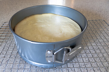 A freshly baked cheesecake in a spring form pan cooling on a wire rack in a domestic kitchen.
