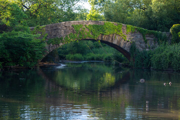 Fototapeta na wymiar Serene Landscape of an Arched Bridge Over a Pond
