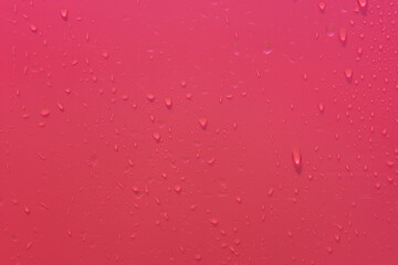 Water drops over blank background