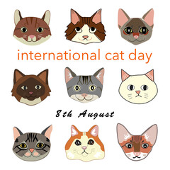 international cat day hand drawn vector with 9 cat faces on white background with word international cat day 8th august 