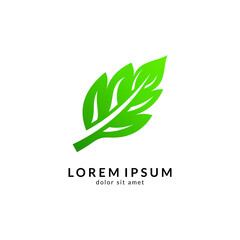 Leaf Logo Design. Nature And Environmental Icon. Health Care And Spa Symbol. Organic Food And Nutrition Vector