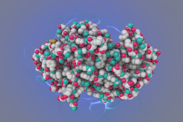 Space-filling molecular model of human salivary amylase, an important enzyme found in the oral cavity. It breaks down complex carbohydrates into simple sugars. 3d illustration