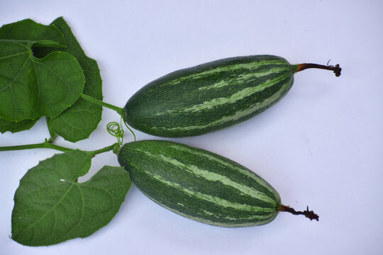indian green pointed gourd (parwal) vegetables with leaf