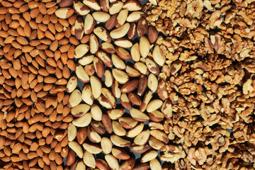 Brazil nuts, Almond nuts and walnuts are scattered evenly. Walnut background.