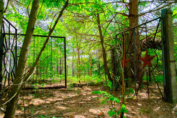 Nature and ruins in Chernobyl, a town in Ukraine, famous by the nuclear reactor explosion disaster...