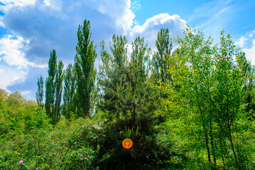 Fototapety na wymiar - Fototapeta24.pl